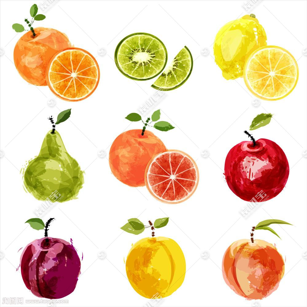 各种水彩水果插画矢量图片 图片id 蔬菜水果 生物世界 矢量素材 素材宝scbao Com
