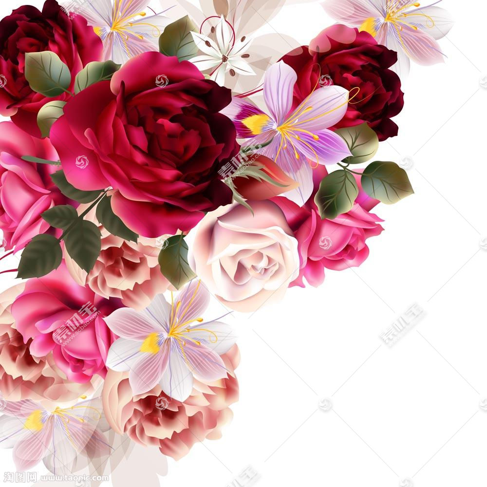 美丽的彩色玫瑰花背景图片素材 图片id 4900 其它类别 背景花边 图片素材 淘图网taopic Com