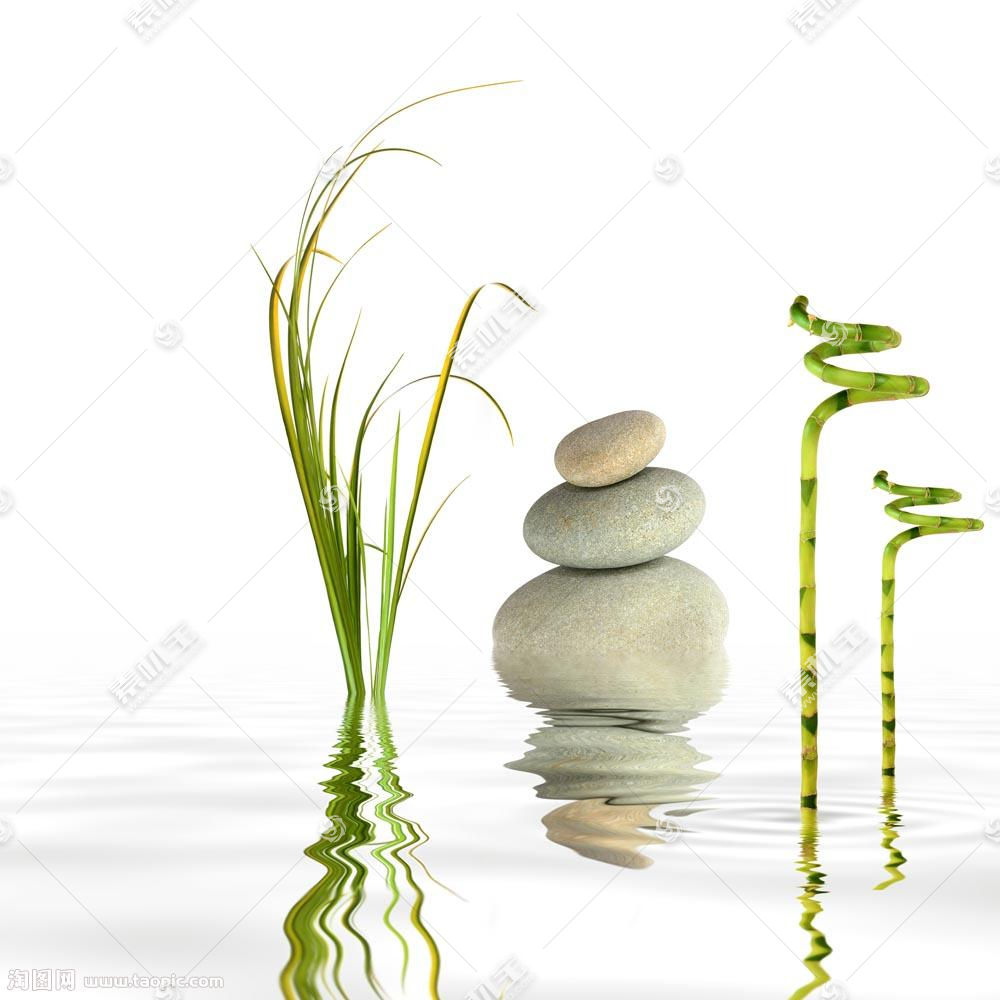石头和植物图片素材 图片id 其他艺术 文化艺术 高清图片 素材宝scbao Com