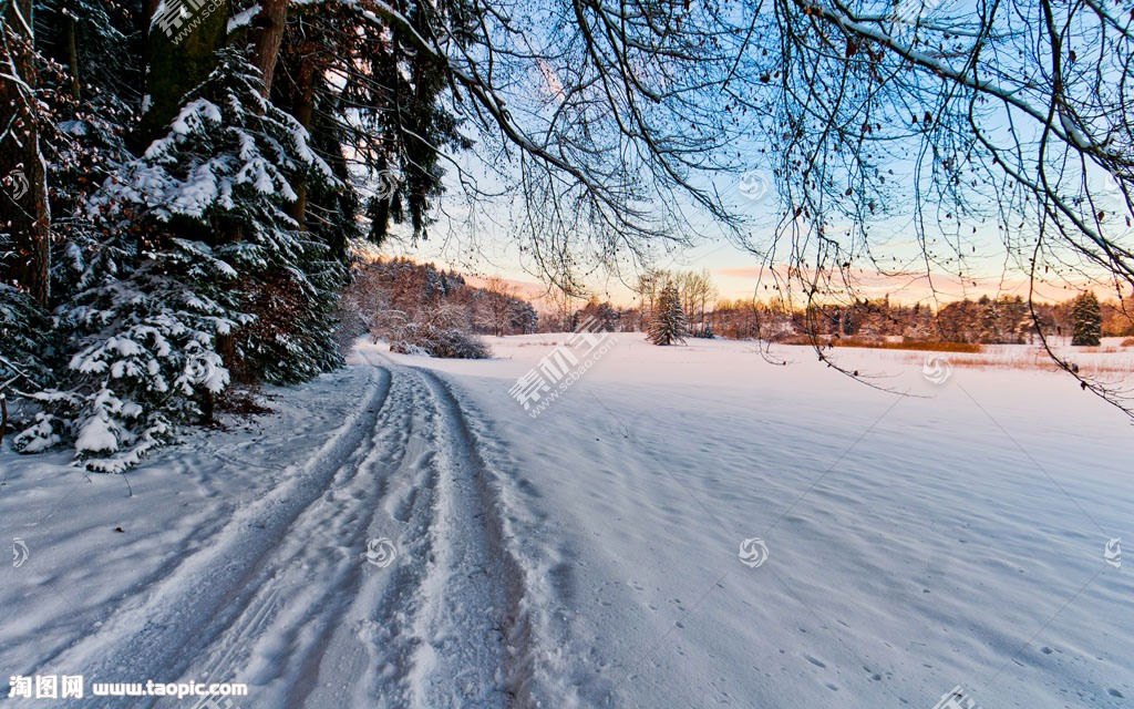 冬季雪地背景图片素材 图片id 雪景图片 风景图片 高清图片 素材宝scbao Com