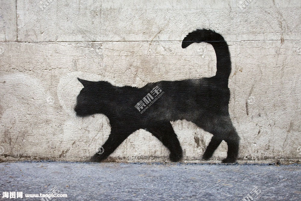 墙上的黑猫画像图片素材 图片id 陆地动物 动物图片 高清图片 素材宝scbao Com