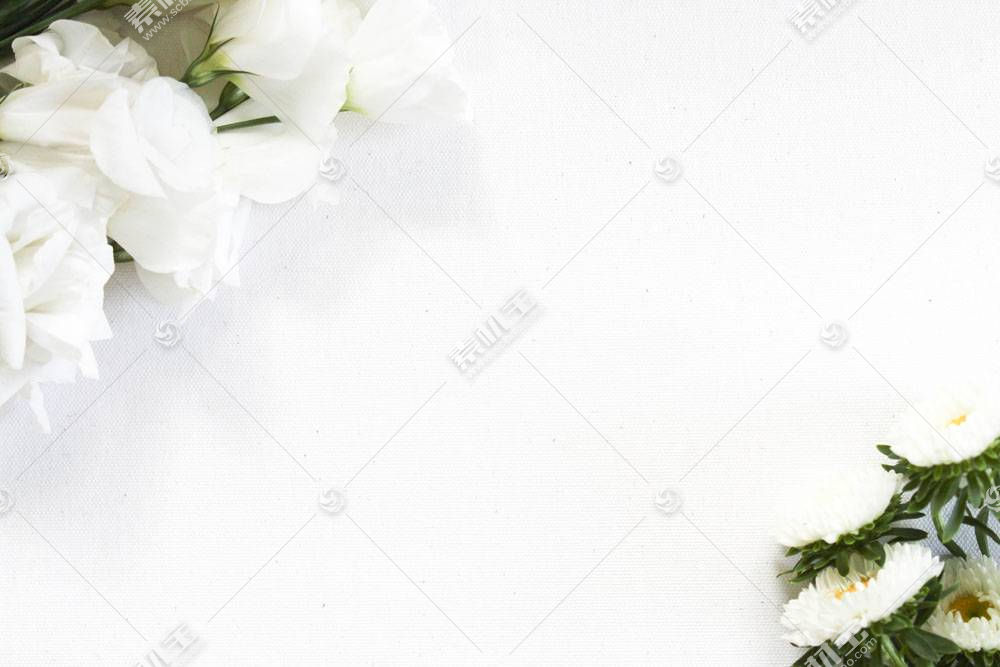 白色花朵与白色背景图片素材 图片id 花草图片 花的图片 高清图片 素材宝scbao Com