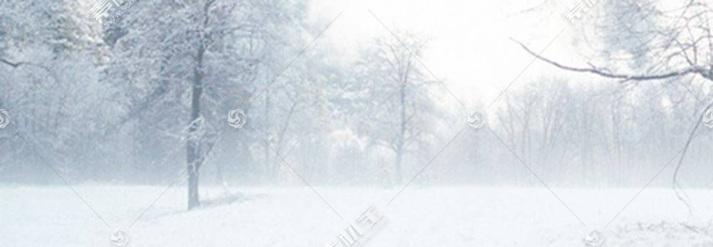 雪后树林背景图图片素材 图片id 316 其它类别 背景花边 高清图片 素材宝scbao Com