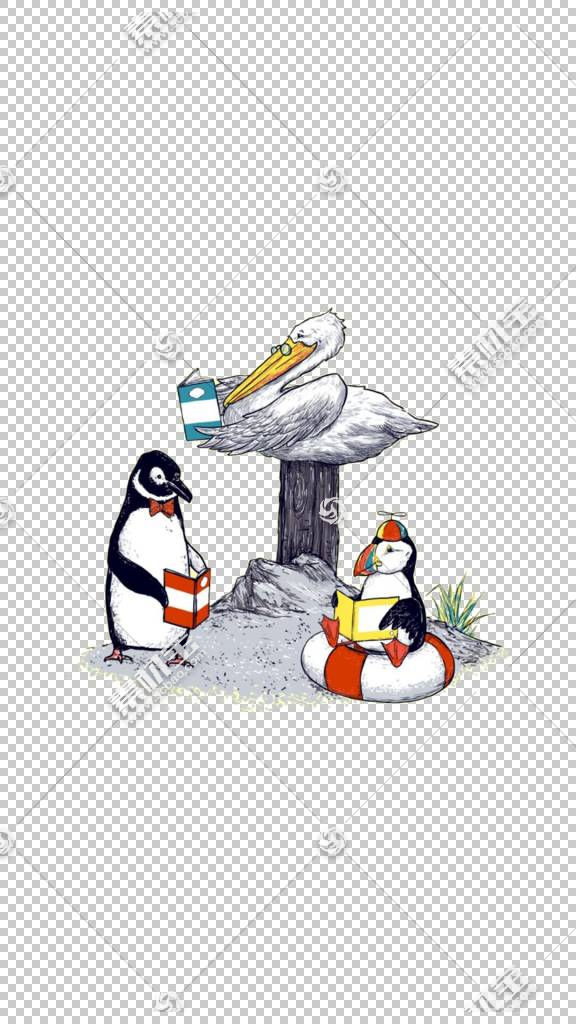 Penguin Seabird Illustration,Penguins and seabirds PNG clipaͼƬ