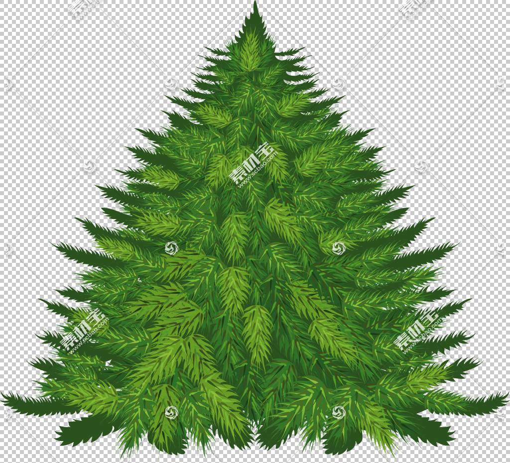 Pine Balsam fir Cedar,PNG̲,Ҷ,Ȼ,ʥװ,ͼƬ